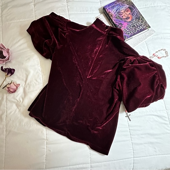 Velvet “Wrapped in Roses” Wine Red Top - Picture 5 of 7